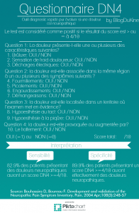 Questionnaire DN4