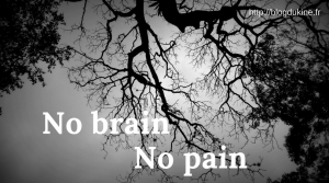 No brain No pain